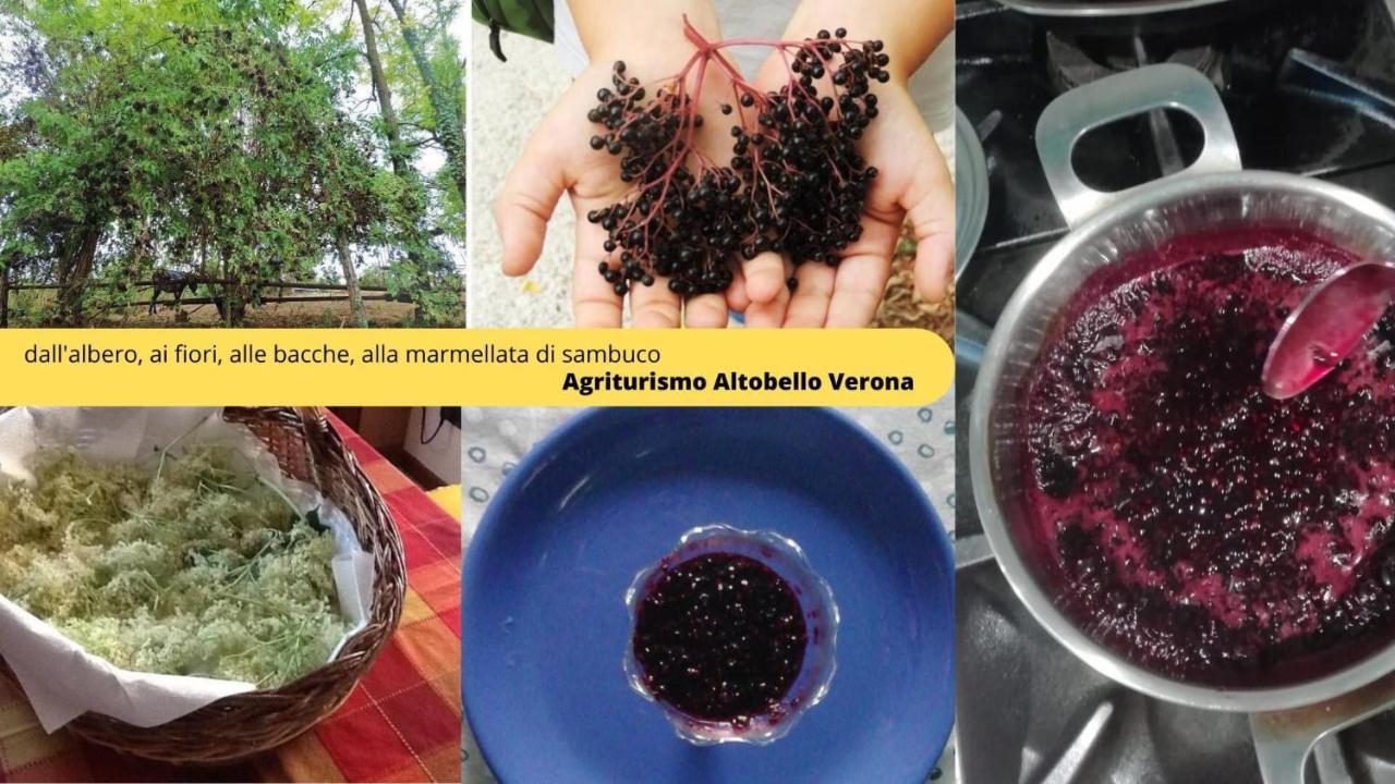 Agriturismo Altobello Βερόνα Εξωτερικό φωτογραφία