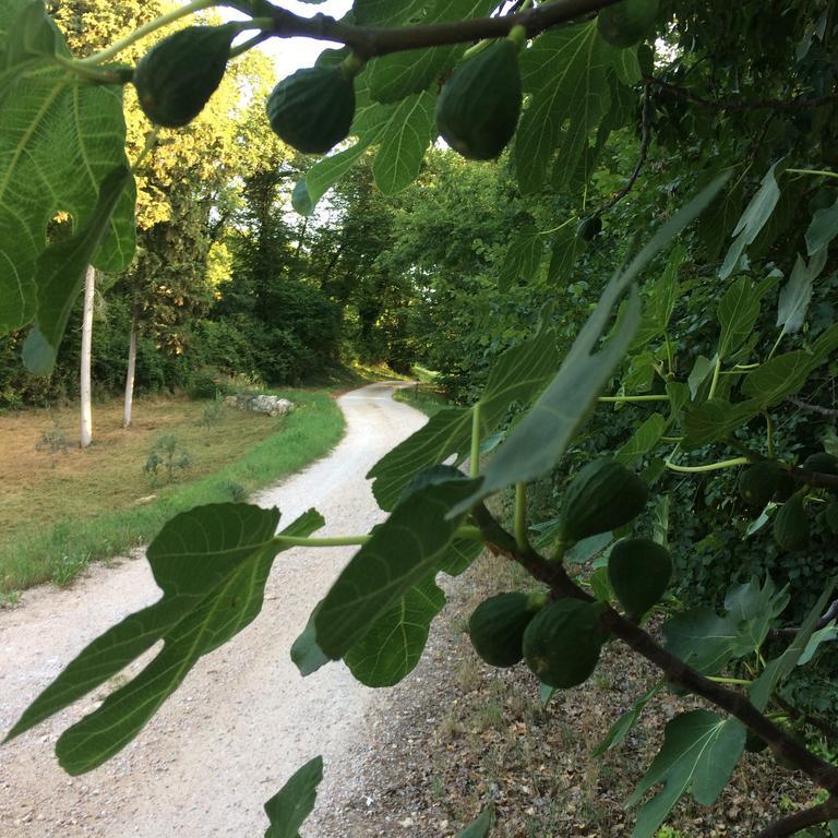 Agriturismo Altobello Βερόνα Εξωτερικό φωτογραφία