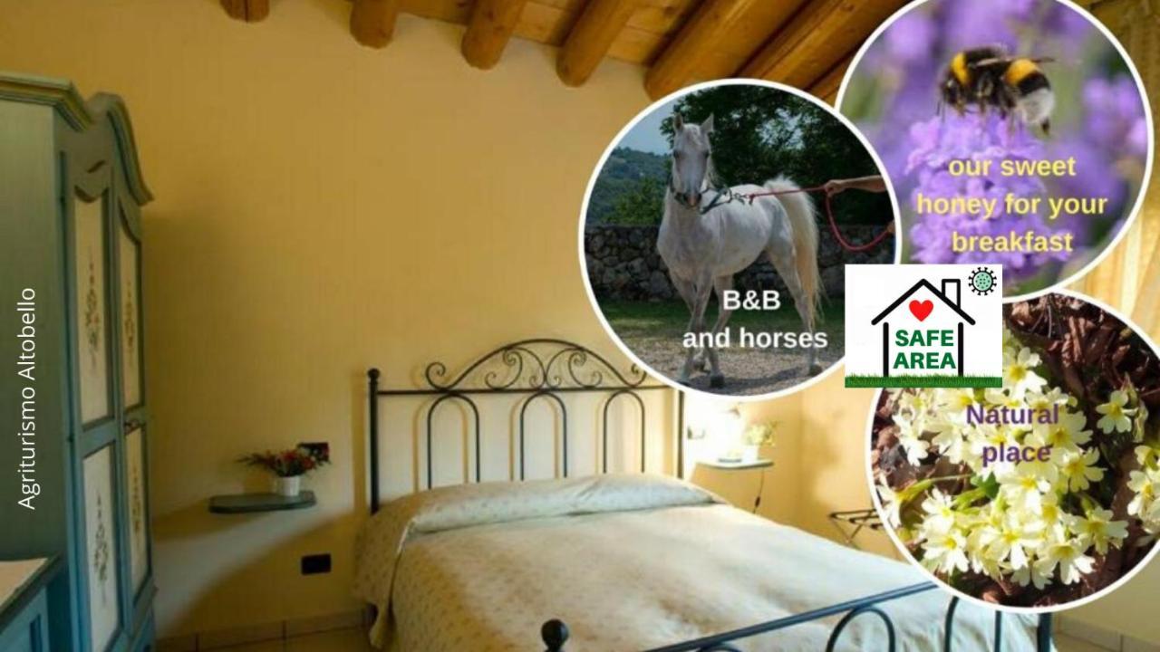 Agriturismo Altobello Βερόνα Εξωτερικό φωτογραφία